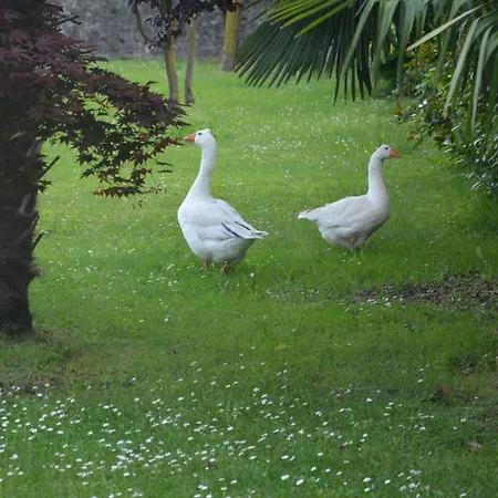 Nette In San Bernardo Mit Grossem Garten *