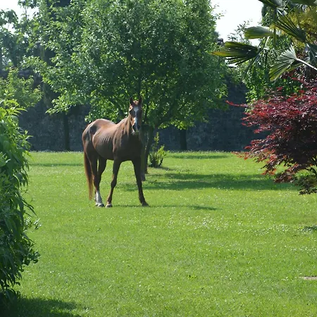 Appartamento Nette In San Bernardo Mit Grossem Garten